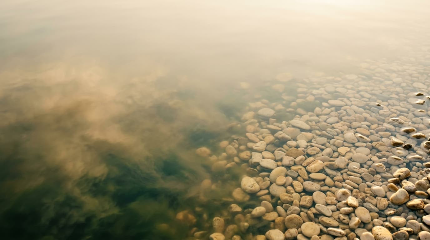 Clarity
